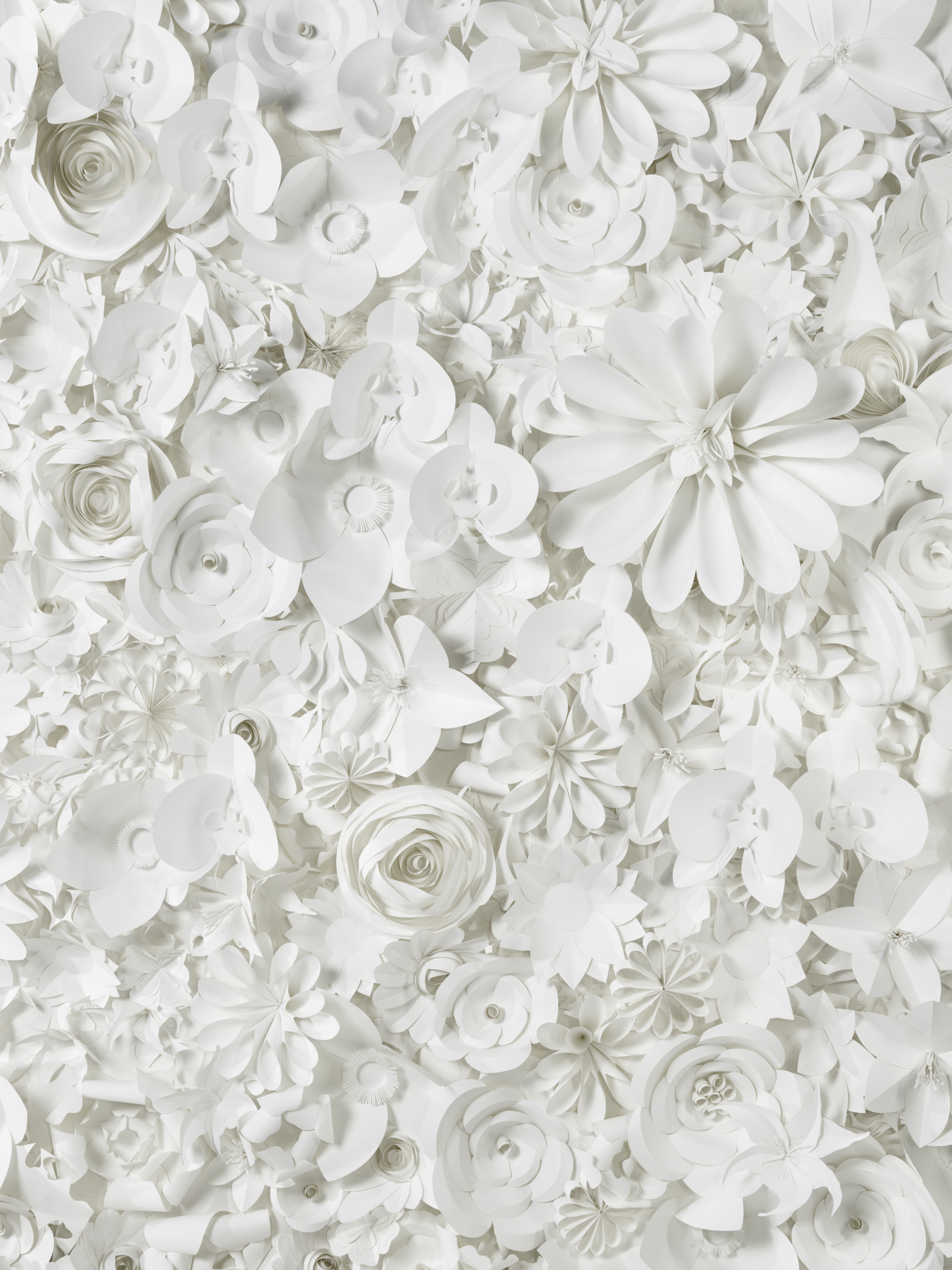 nice white paper flower backdrop pictures wedding and flowers chanel paper flower backdrop