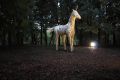 25_IMG_3117 - copie Unicorn