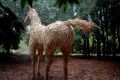 27_IMG_2894 - copie Unicorn