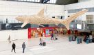 34_Shark-2-1 - copieTK Air Shark