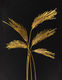 Blenitude_DuyAnhNhanDuc@IsabelleChapuis - copie L'Herbier Imaginaire