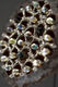 ShiningLotus_Detail_Tk.jpeg L'Herbier Imaginaire