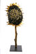 Soleil_noir_ndda1Ret L'Herbier Imaginaire