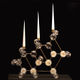 DandelionLight_DuyAnhNhanDuc_1 - copie Dandelion Light
