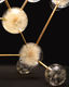 DandelionLight_DuyAnhNhanDuc_6 - copie Dandelion Light