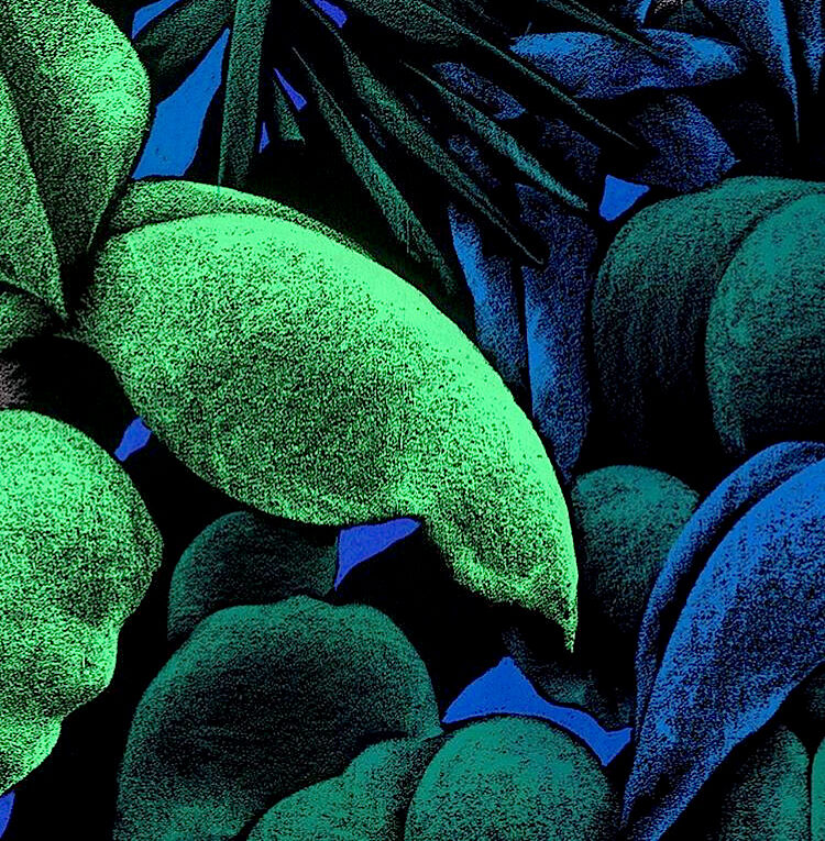 moustache insta1 Moustache Editions