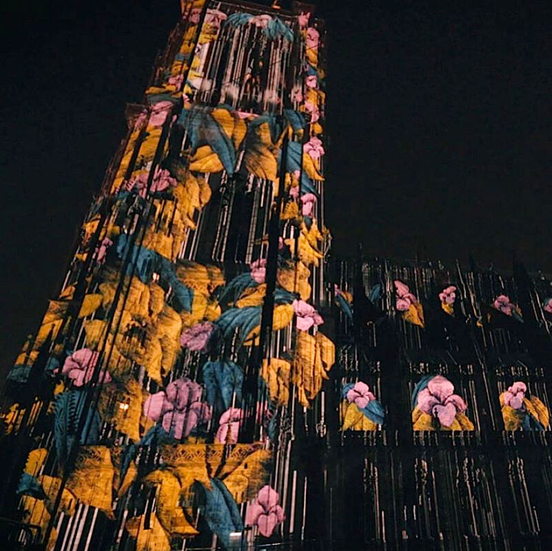 IMG_3157 Hortus Festival Strasbourg