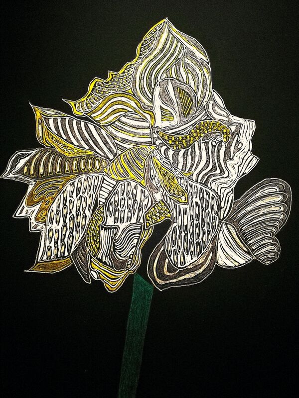 amaryllis Flowers