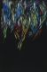 1-parrots Julien Colombier Artwork
