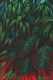 12-red-vs-green-jungle Julien Colombier Artwork