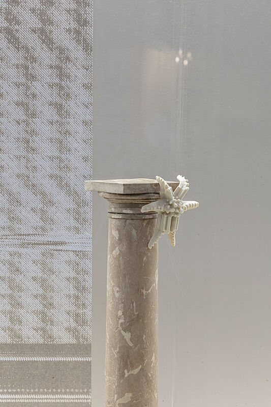 219A8718low CCCOD • Tours