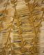 MAYARO_PARIS_17 Decorative Panels