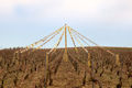 CLRxDAND_Champ du vent 22_ёEnzo Orlando_RVB HD copie Louis Roederer Chant