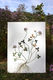 LP_JardinExtra_3 Jardin Extraordinaire