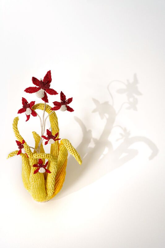 Buddha Liquides Imaginaires