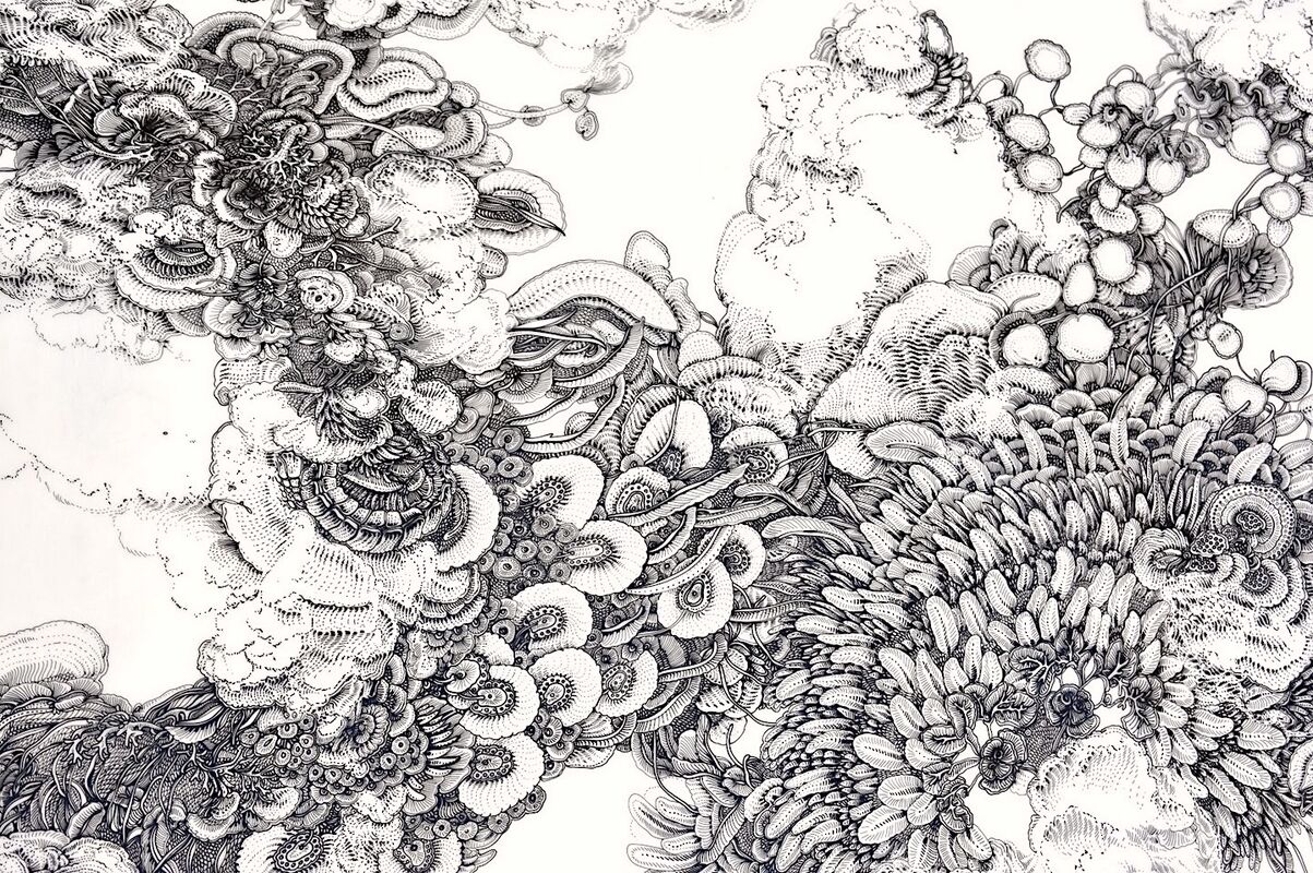 dessin détail warm Drawings