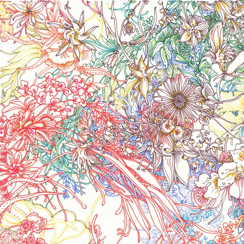 Scan 9 color drawings