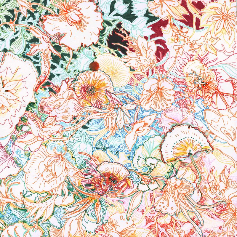 Scan 5 color drawings