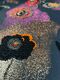 EB perle 1 New Works