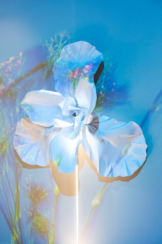 SUPER_SURFACE_LOREAL_LUXE_23 L'Oréal