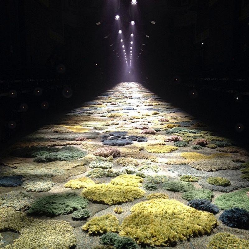 Image result for alexandra kehayoglou