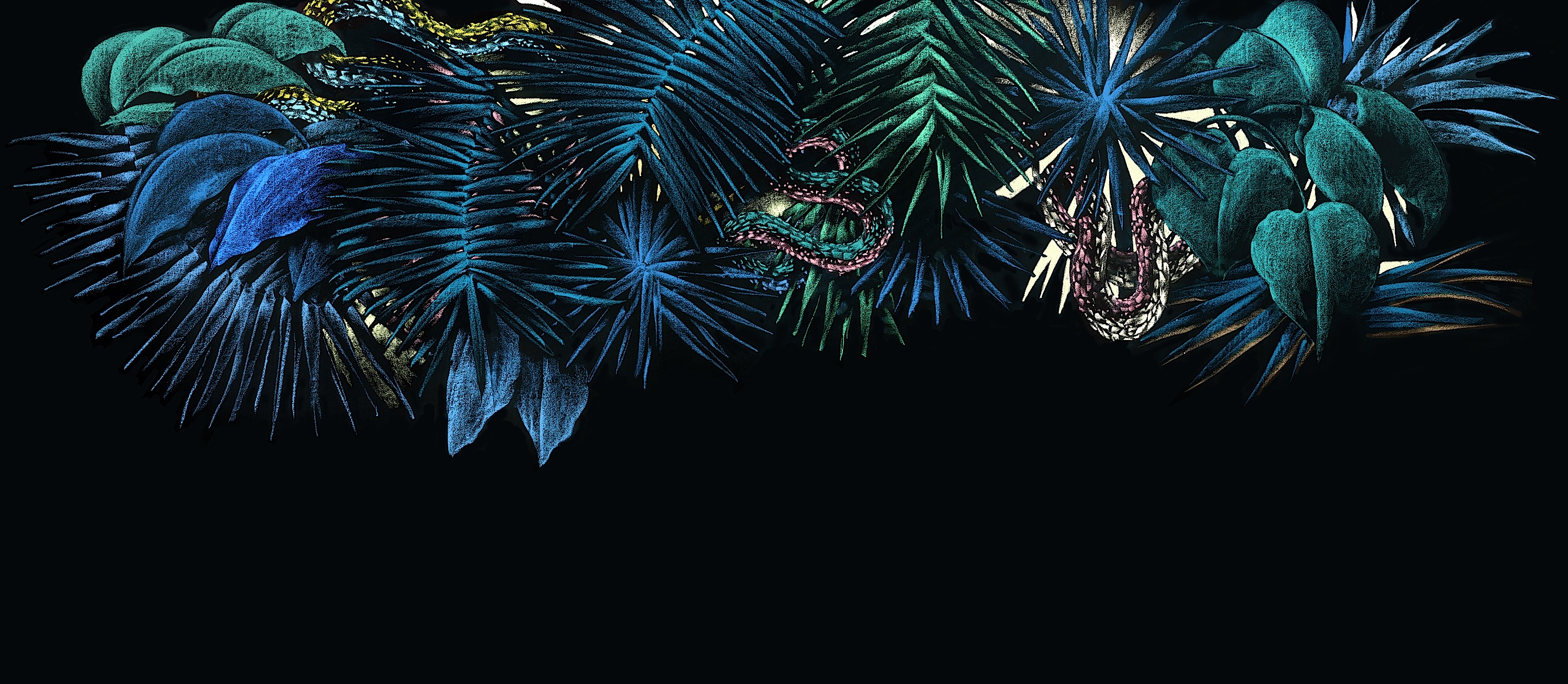 Julien Colombier x Thierry Kauffmann